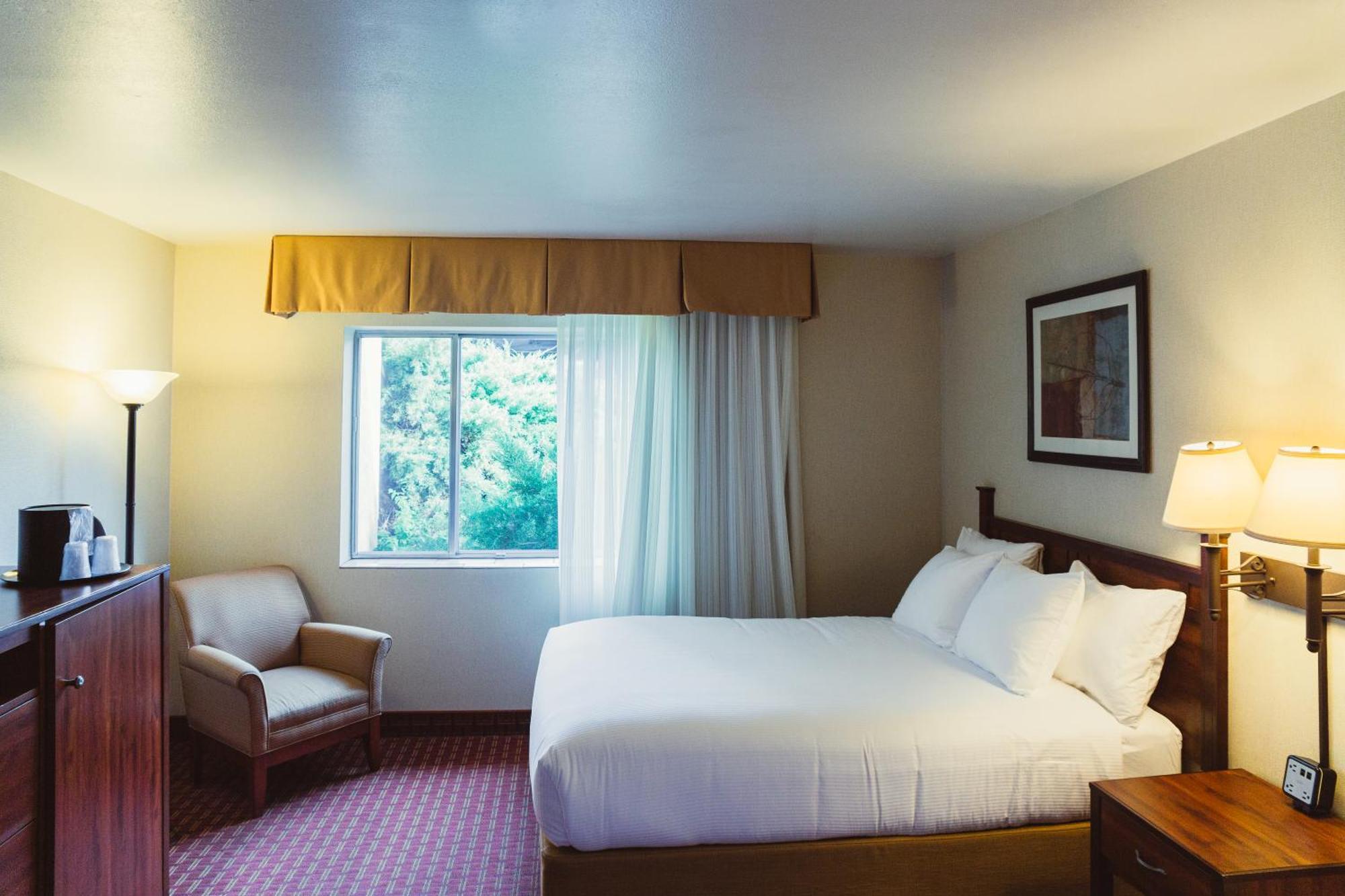 Motel The